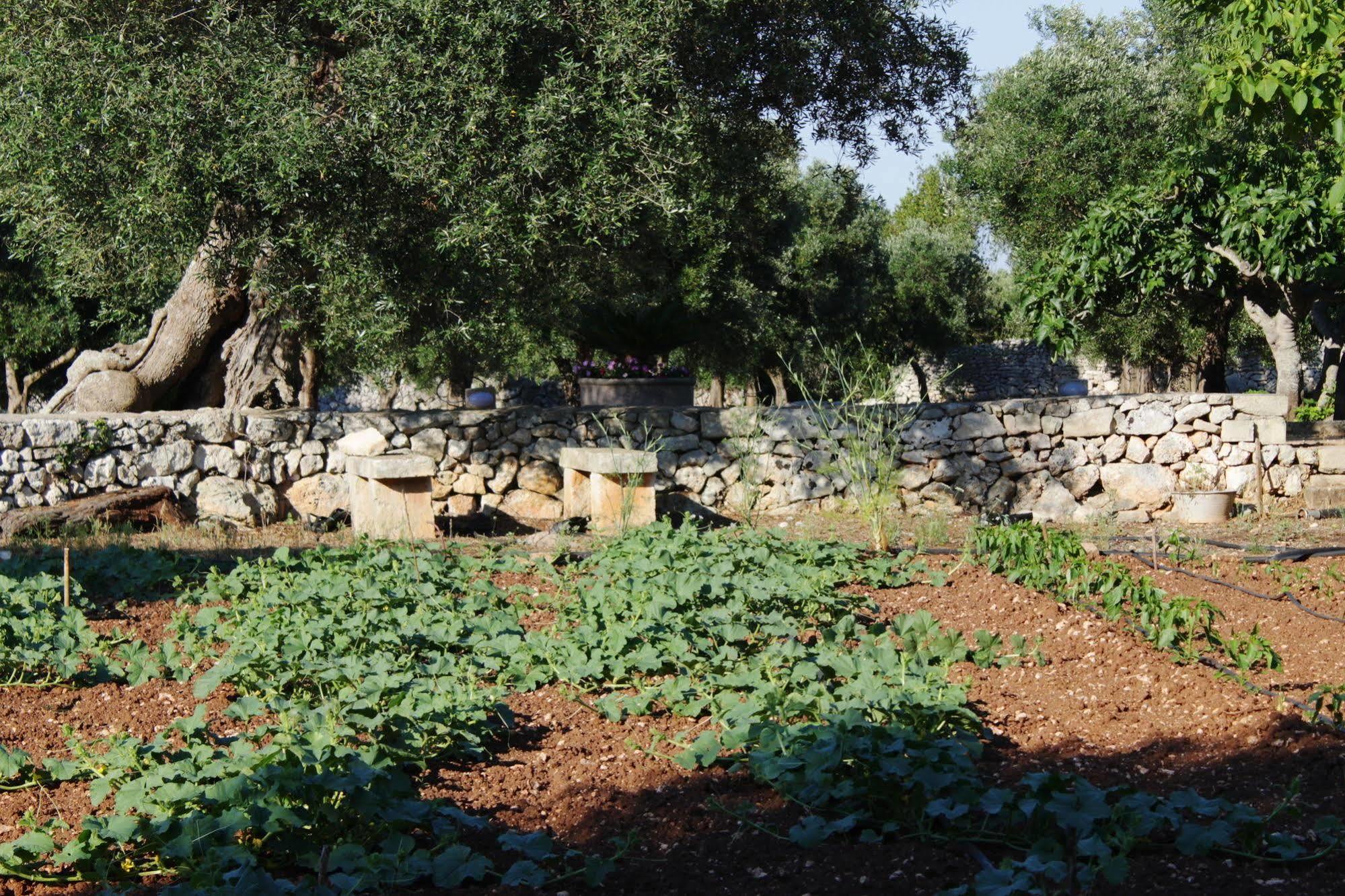 Tenuta Pigliano Hotel Bagnolo del Salento Exterior foto